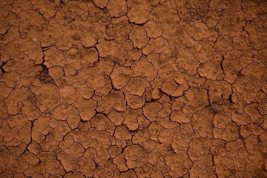 Tierra Inerte Arquitectura de tierra / Una respuesta al cambio climático - AyC